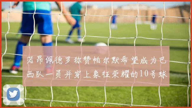 若昂佩德罗称赞帕尔默希望成为巴西队一员并穿上象征荣耀的10号球衣